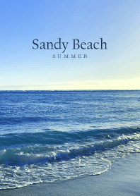 Sandy Beach.HAWAII 7