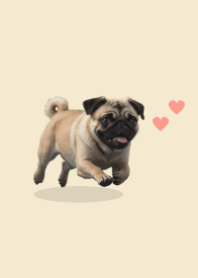 Cute Pug Theme 2 Beige 05