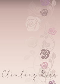 Climbing Rose*antique pink