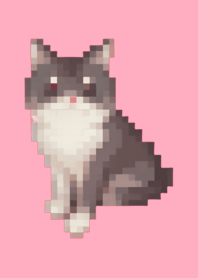 * Black Cat Pixel Art Theme  Pink 04