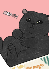 neko single18 / coral