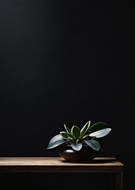 Ultimate Black - Background 760A9E