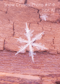 Snow Crystal Photo #17-9Not AI