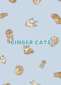 gingercats3 / baby blue