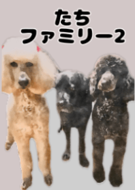たちファミリー2