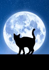 Full moon black cat: simple black3