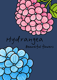 Plant hydrangeas!(Midnight Blue)