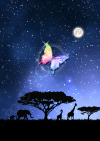 Wish come true, Rainbow Butterfly