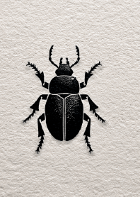 The Beetle of Dots and Lines