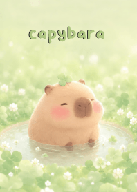 Lovely capybara  In Clover