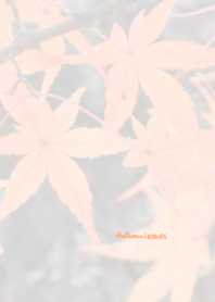 Autumn leaves Theme 9