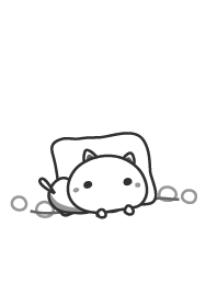 cat staring -15