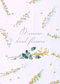 Mimosa dried flowers