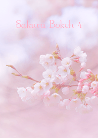 SakuraBokeh 4