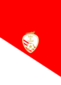 Ballon de Football <レッド/ホワイト>