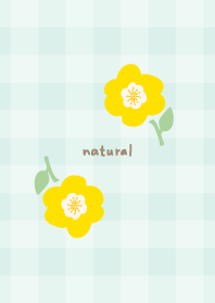 Flowers Autumn Daytime18 from Japan