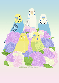 花と鳥 / セキセイインコ