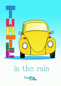 Turtle in the rain