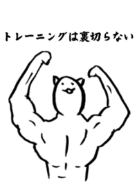 Muscular white cat