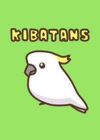 キバタンず