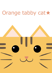 Pop Orange tabby cat