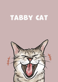 tabbycat4 / rose pink