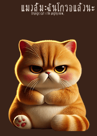 แมวส้ม : ฉันโกรธแล้วนะ