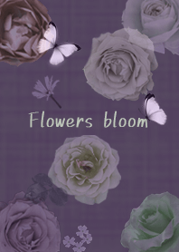 ～花が咲く♥パープル40_2～