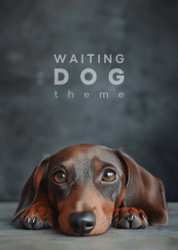 WAITING DOG - Dachshund S 01/CT -
