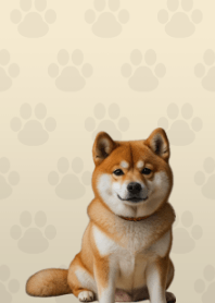 Cute Shibainu Theme Beige 05