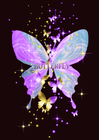 butterfly's room*8