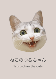 つるちゃんきせかえ