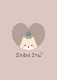 柴犬2 租 [棕色的]