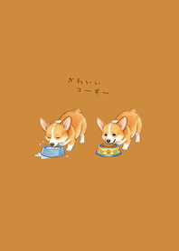 My adorable Corgi(Caramel)
