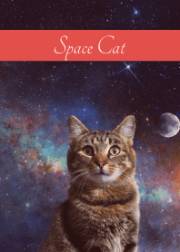 Space Cat2 on red