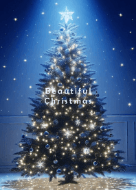 Beautiful Christmas-STAR- 3