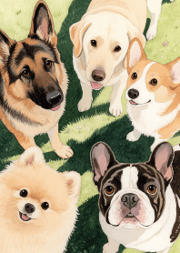 Lovely Dog Group Theme