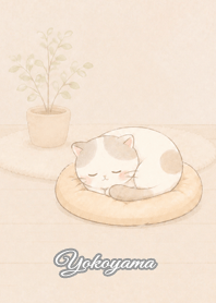 Cozy Lazy Cat: Yokoyama