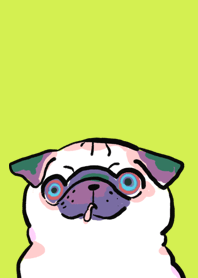 Pug pop art