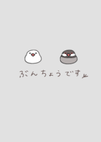 インコです。(文鳥)