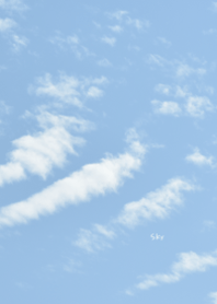Sky Theme 41
