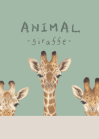 ANIMAL - Giraffe - DUSTY GREEN