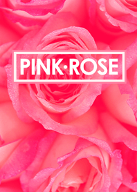 Pink Rose with Love