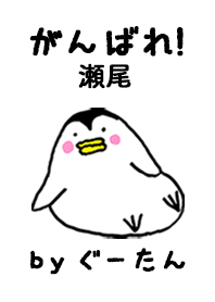 「瀬尾」専用着せかえ by ぐーたん
