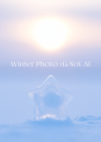 Winter Photo #14-9 Not AI