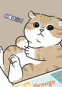 neko single16 / dark tan