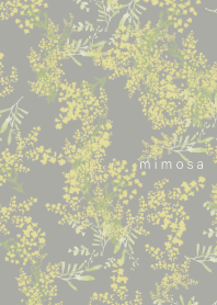 flower of mimosa -smoky-