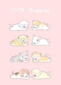 Cute Puppies 1