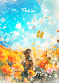 Cat and dahlia