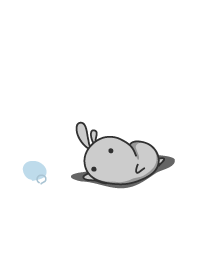 rabbit staring-114